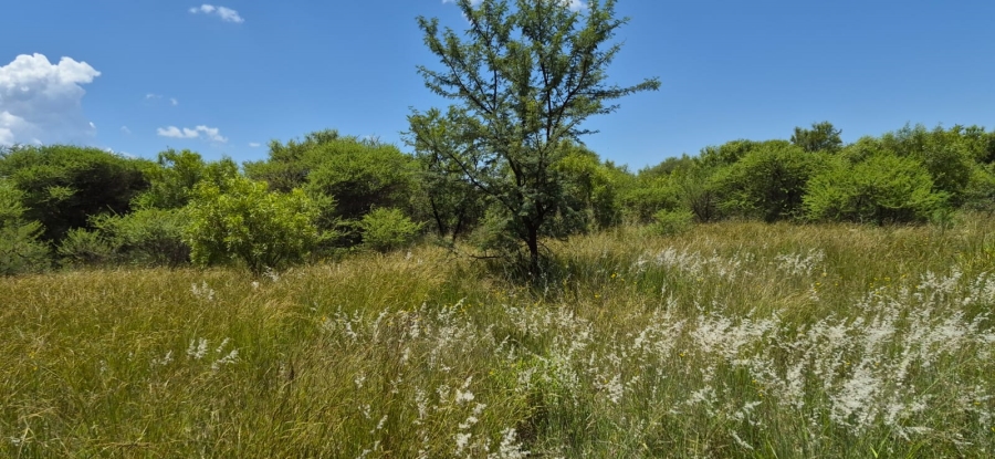 4 Bedroom Property for Sale in Zeerust North West